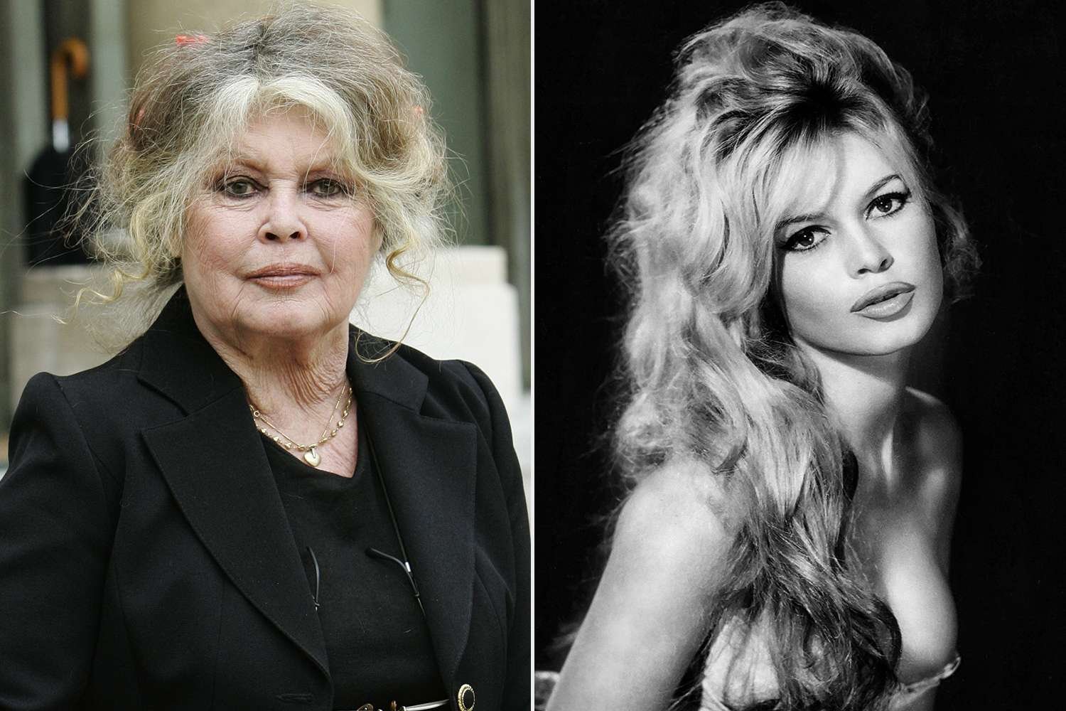 brigitte bardot